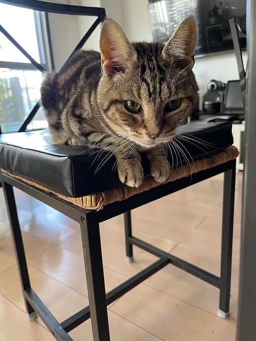 後12時間！助けて下さい