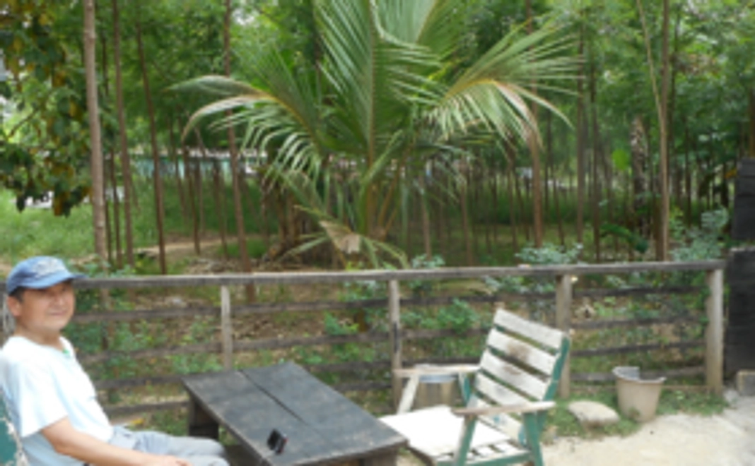 十本植えては地球供養！