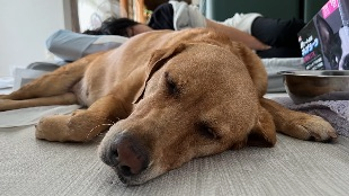 退院してその後…