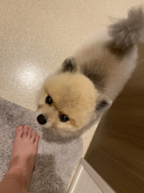 クラウドファンディング3日目です！