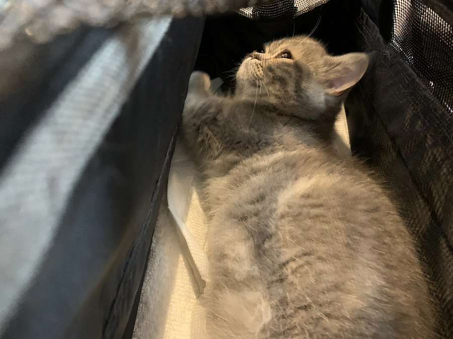 7/10はじめての検査.2