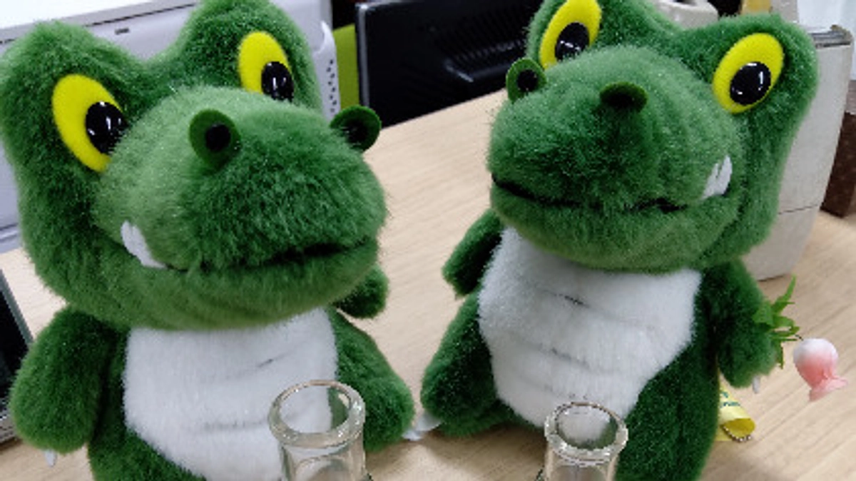 ふたごコレクション　その２