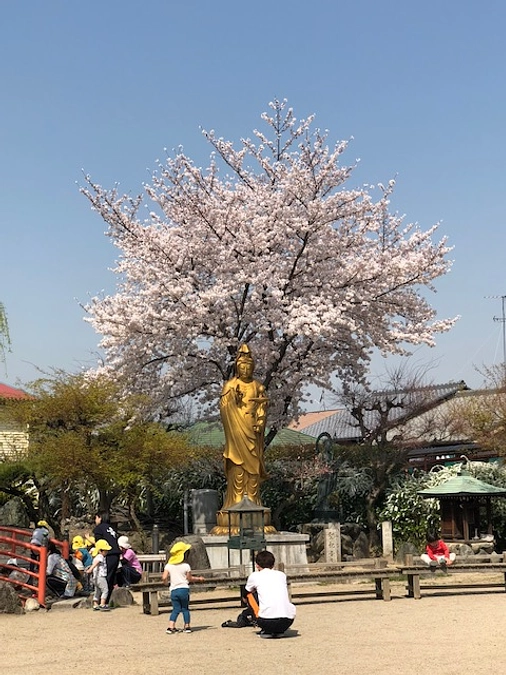 La eterna luz del Dharma del templo Shingej  