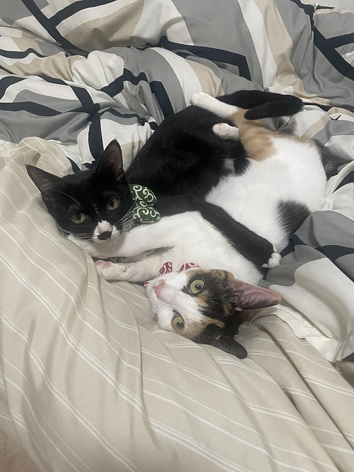 飲み薬開始その３！