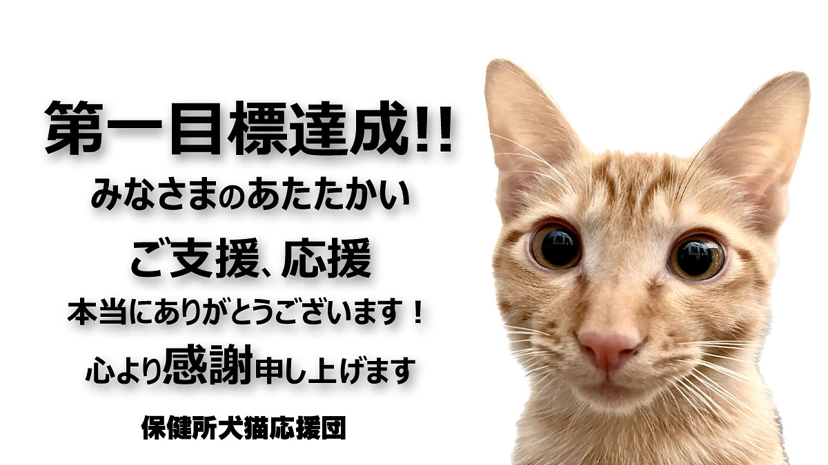 第一目標達成のお礼と ネクストゴールについて