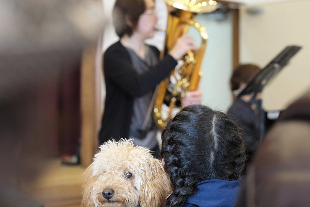 応援メッセージ　#３