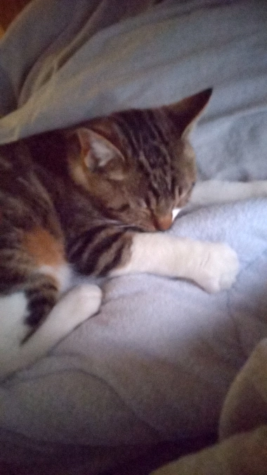 定期検診でした。