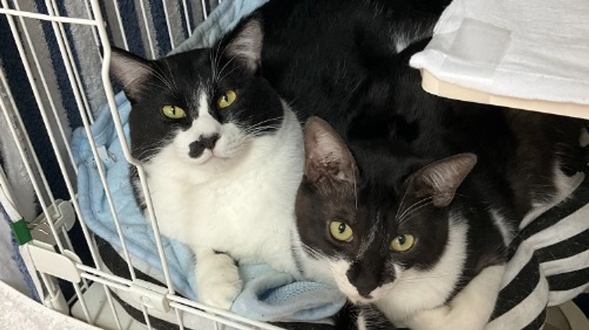 ご支援金は順調に使わせていただいてます！