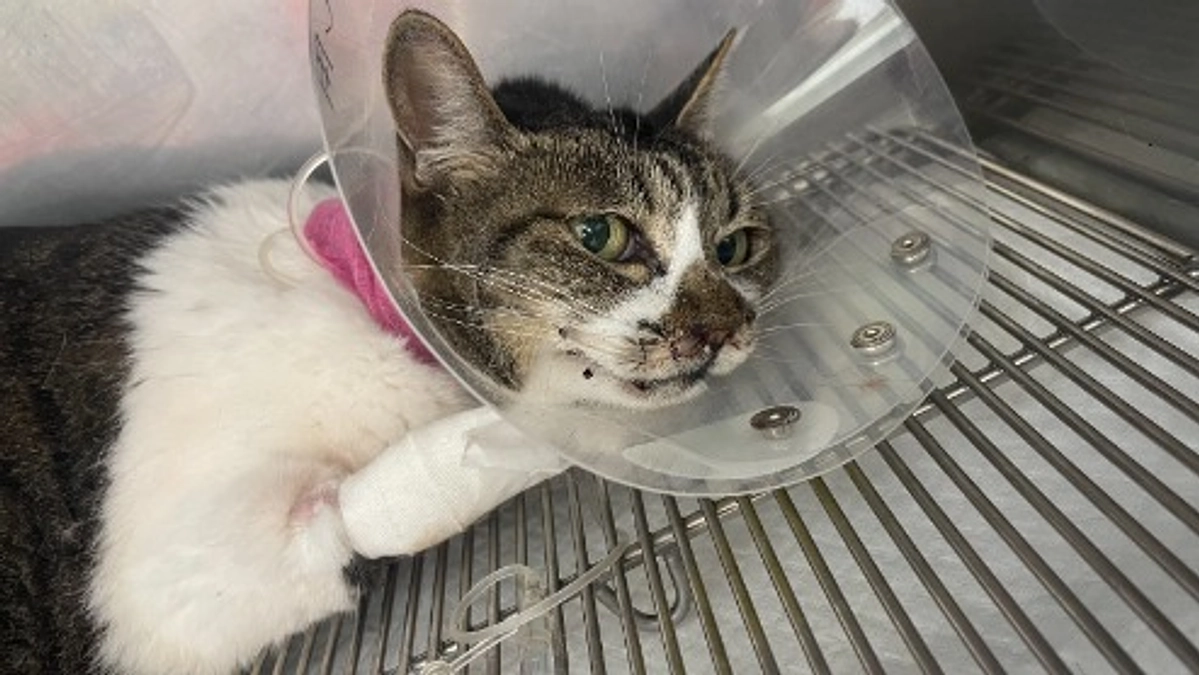 ネクストゴールへ向けて