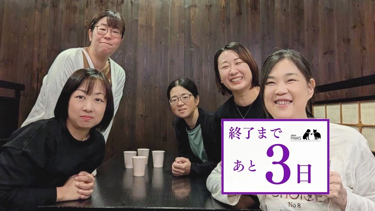 【残り3日！】県内の団体さん、猫カフェさんにご挨拶回りに行ってきました