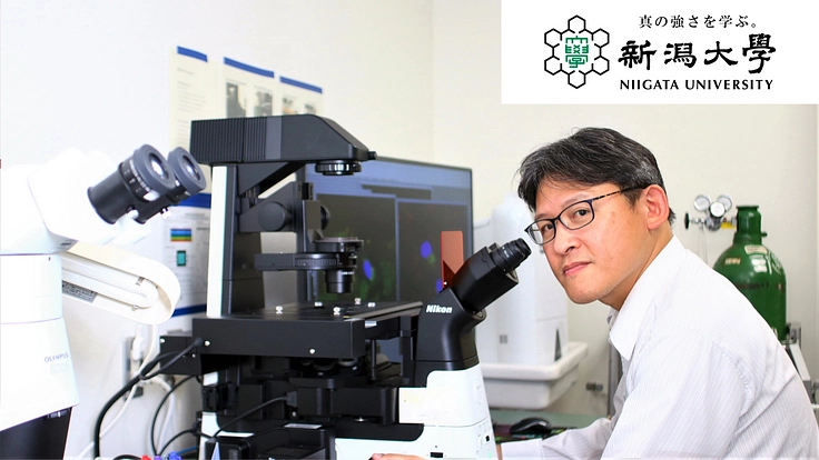 ミトコンドリア病の克服を目指して、マイトファジーの研究を進めたい！