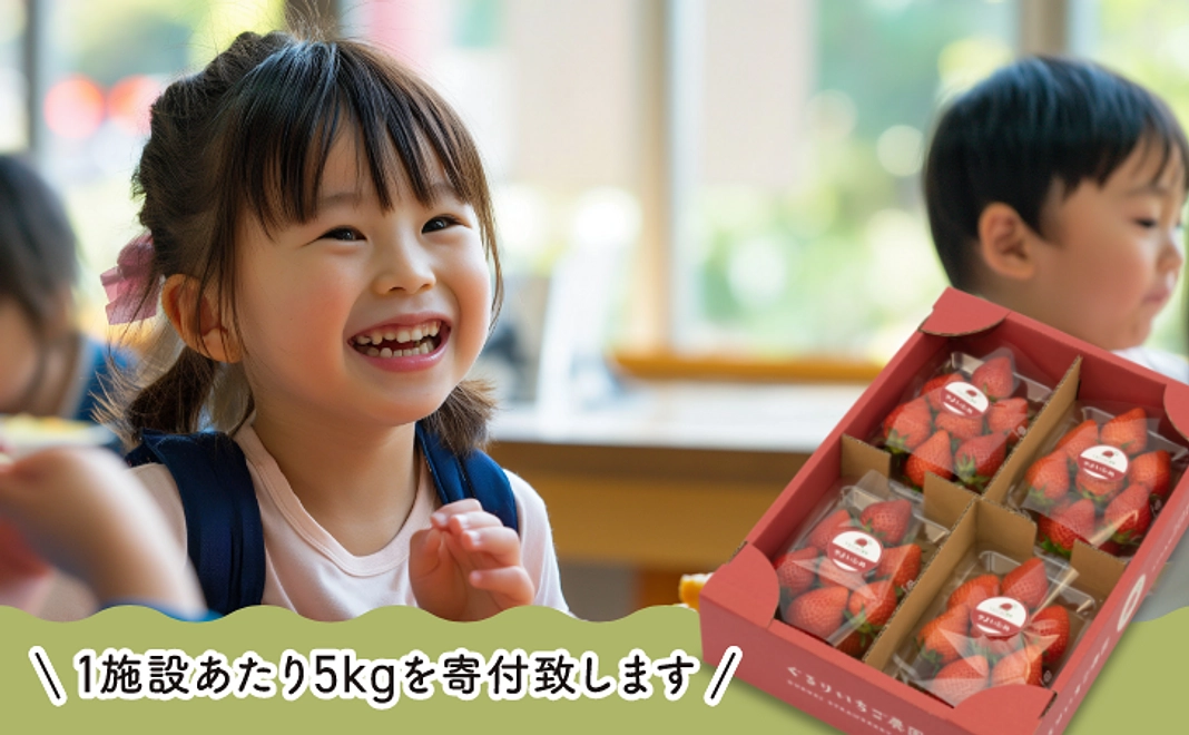 【個人様コース】いちご250g×4パック