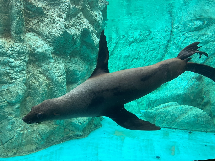 ご支援金額が750万円を超えました！