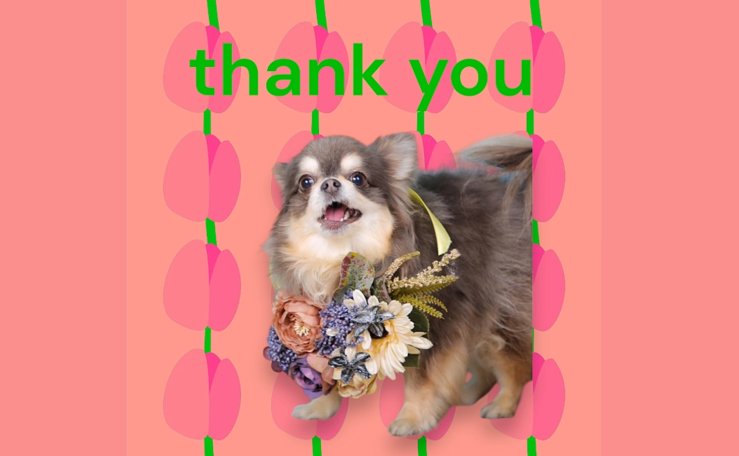 感謝のメール＆ご報告　10000円