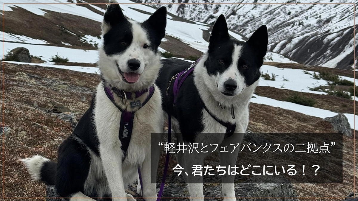 “軽井沢とフェアバンクスの二拠点”   今、君たちはどこにいる！？