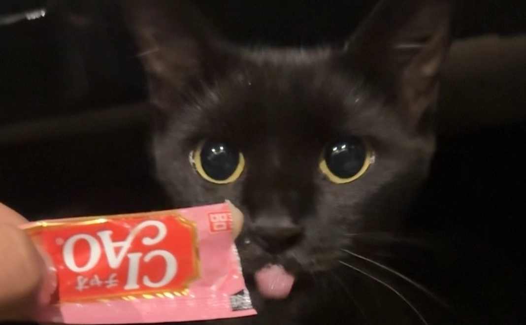 心からお礼のメール