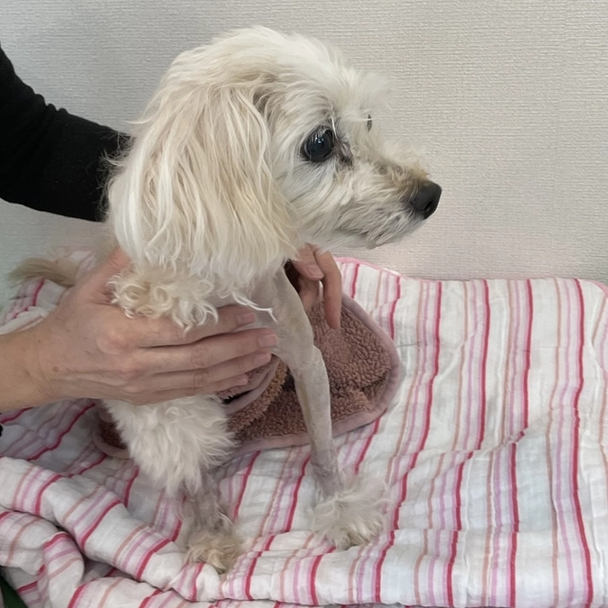 術後の翌日面会で姫芽に会ってきました！