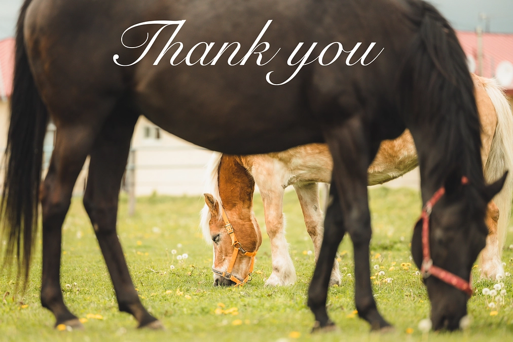 応援メッセージのご紹介⑤