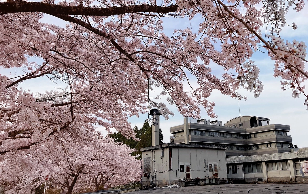 【近況報告】4月16日 あと1日となりました