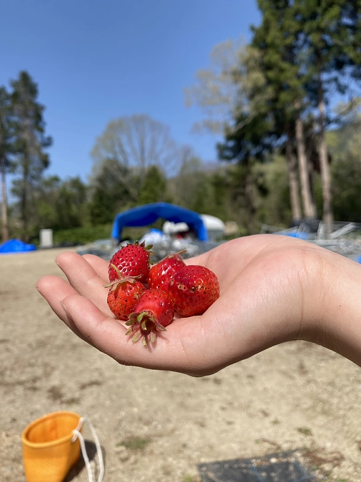 こんな環境でも育っています！