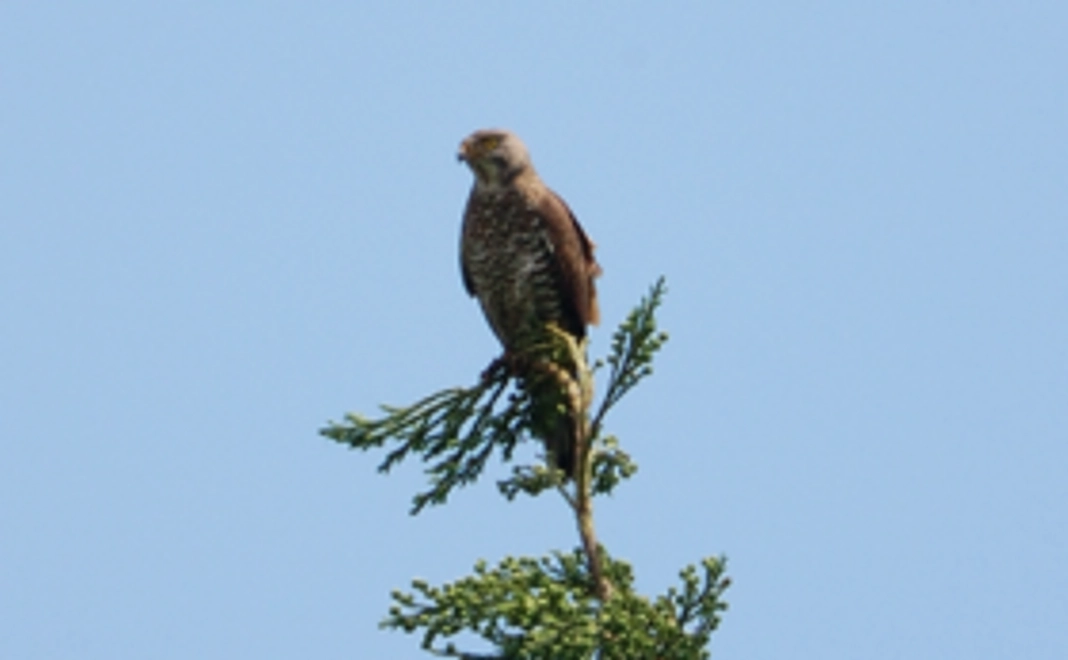 気軽に支援コース