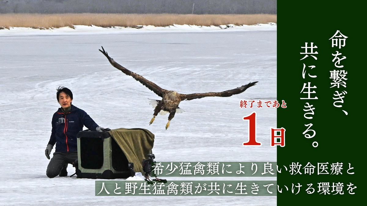 【残り1日！】本日ライブ配信！ラストスパート配信企画です！