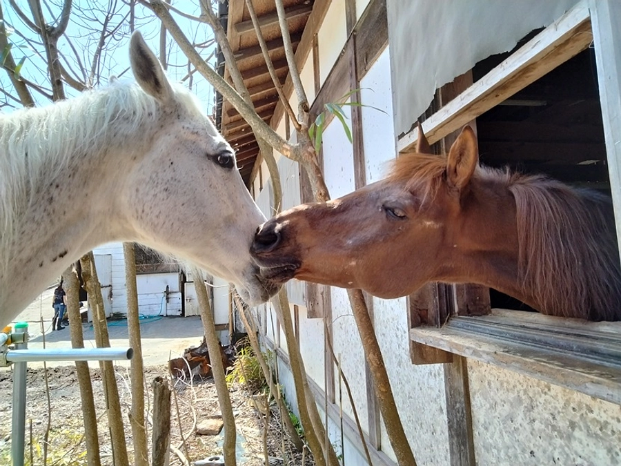 【最終目標達成！】ありがとうございました