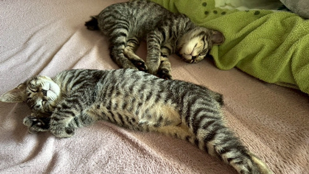 令和7年8月の中間報告！