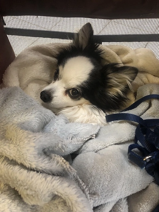 期限あと10日！