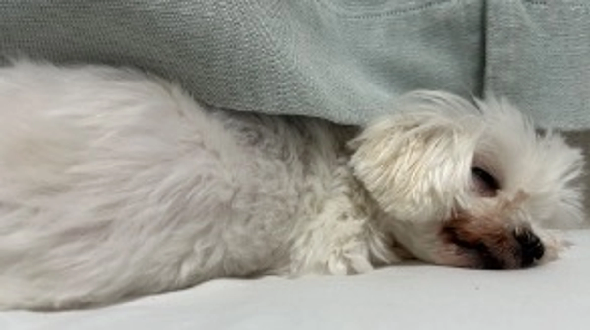 代理支援金 反映のご報告📝