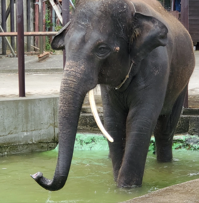 プロジェクト冊子配布中！