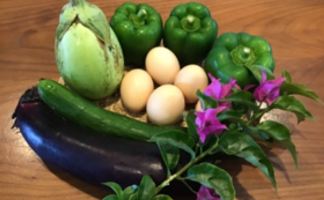 【遠くにいながらMI-YAを感じてください!】MI-YAで作った食材コース