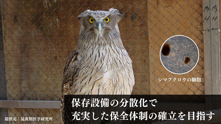 絶滅危惧種の多様性を未来に残すため、細胞保存のタイムカプセルを! 6枚目