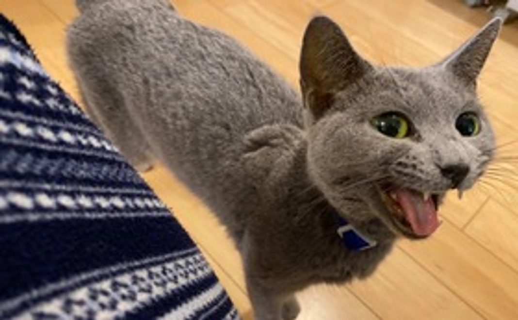 りんご応援　3,000円