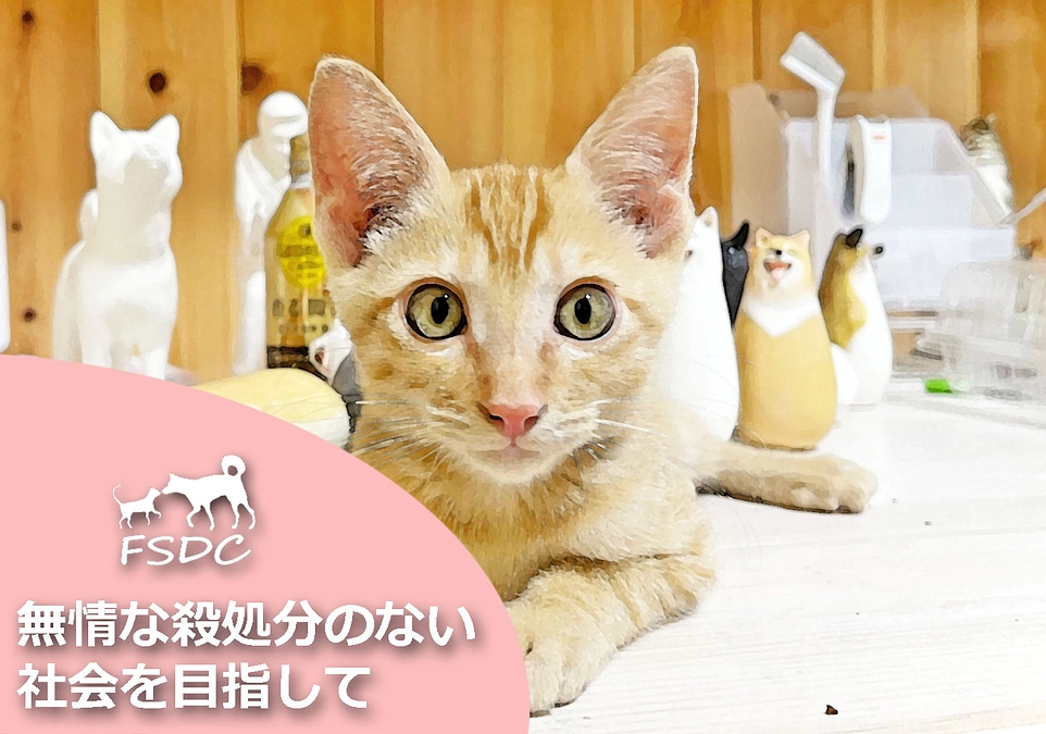 クラウドファンディング開始のご挨拶