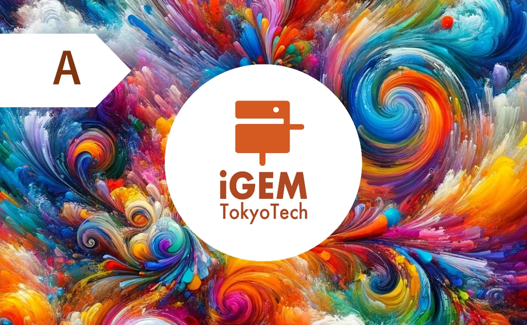 Grand Prize応援コースA