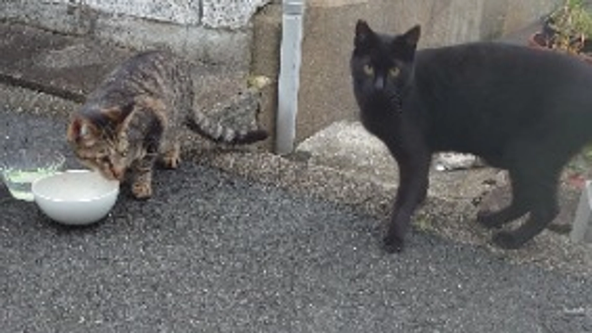 5月2日　支援金での購入品