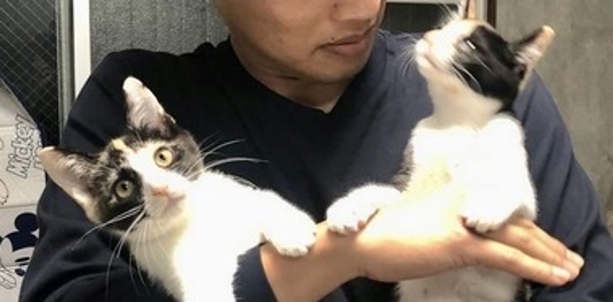 【1300万円 突破‼️】ボランティアリレー 特別編      