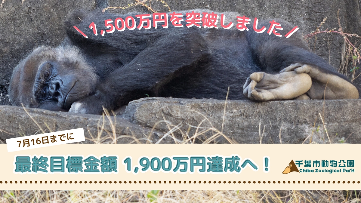 遂に1500万円突破しました！