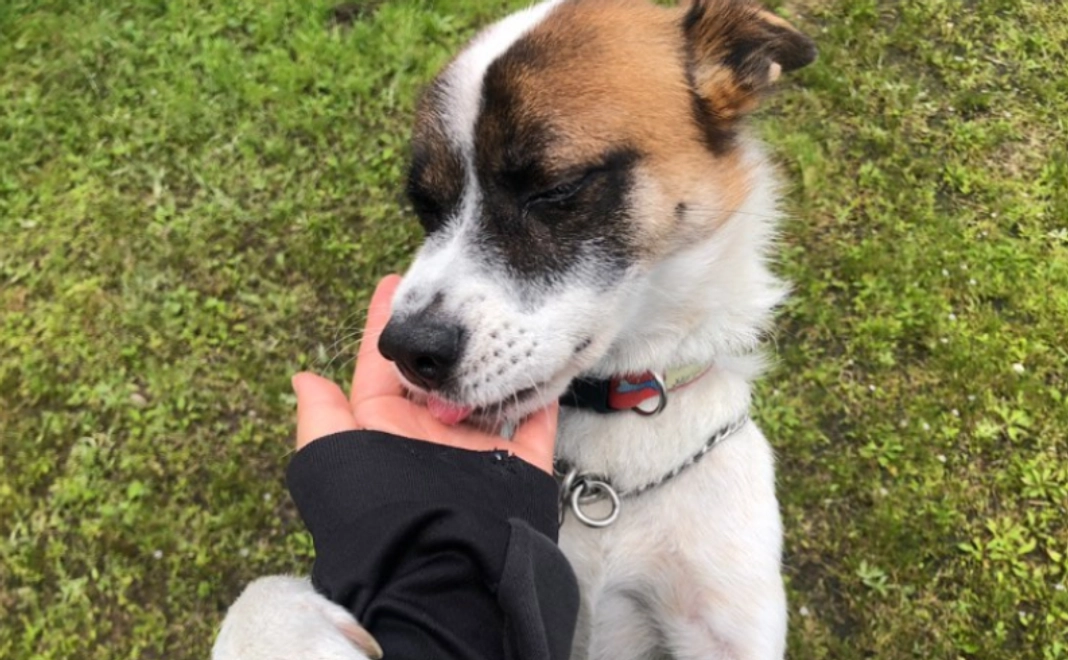 全力応援｜300,000円