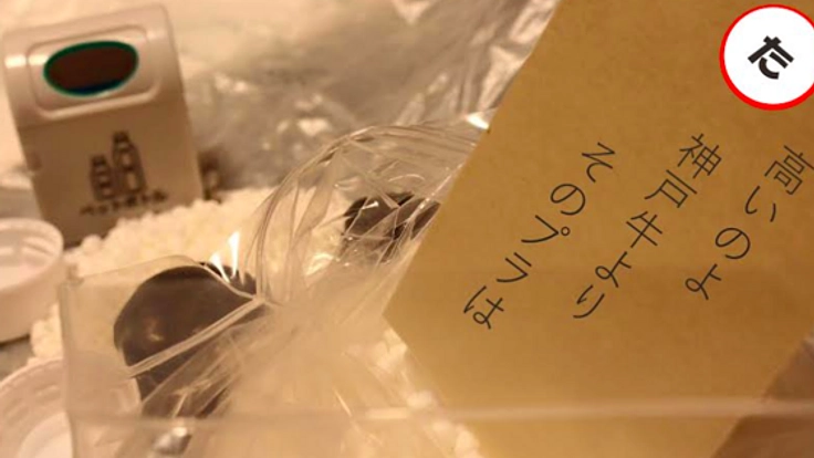 プラスチックのことを楽しく遊んで覚えられるかるたを制作したい