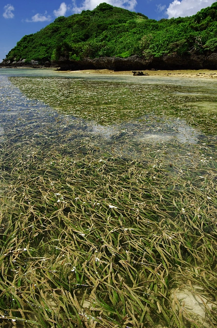 ⑧ そして彼らはやってきた…