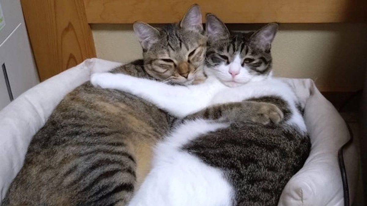 12月の中間報告！