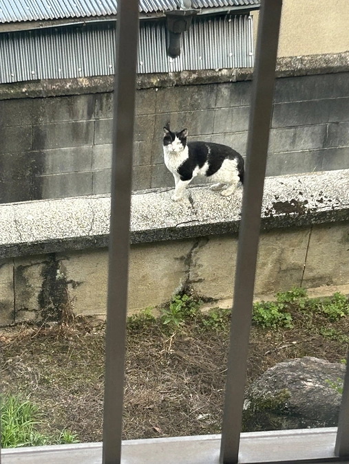 ご協力ありがとうございました。