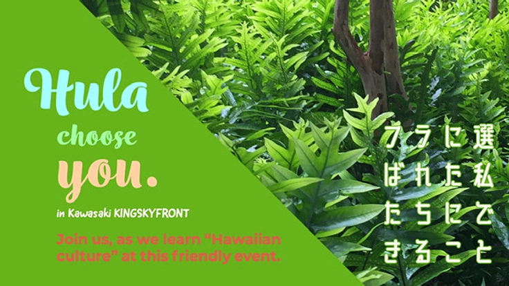 Hula Choose You.in Kawasaki 