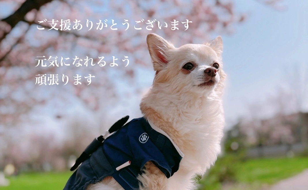 感謝の画像 1000円