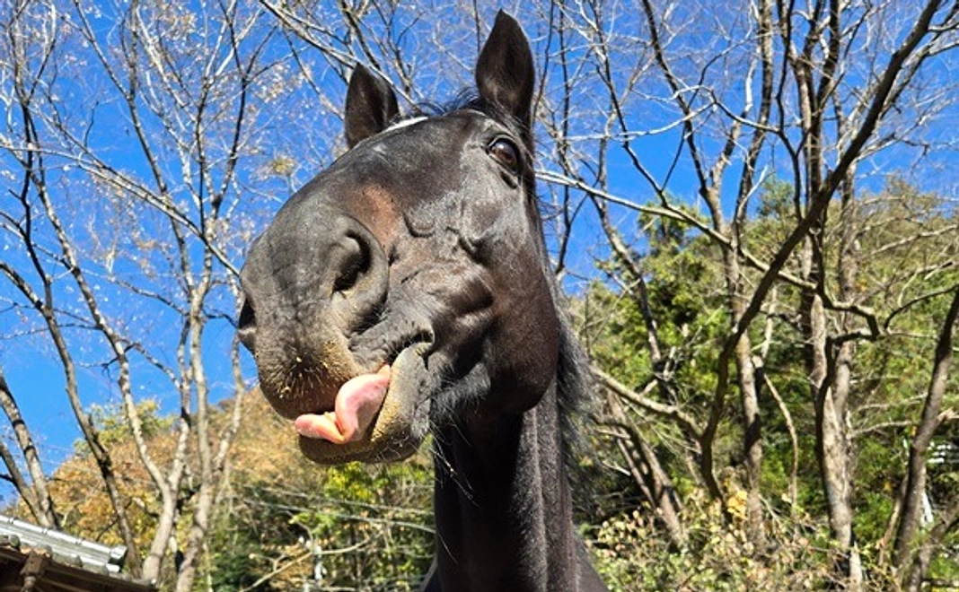 紡ぎっ子サポーター|5000円