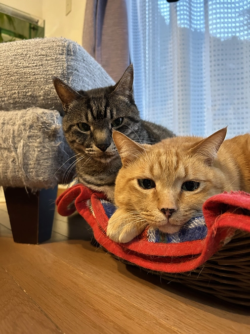 優しい地域社会に向けて