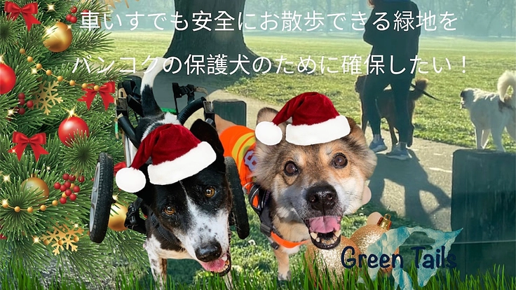 タイ国バンコクの保護犬が安全にお散歩出来る緑地ドックランを確保！