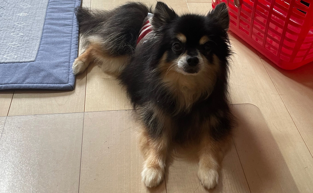 ご支援頂きありがとうございます③